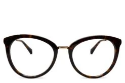 Lotus Rx - Sable Tortoise