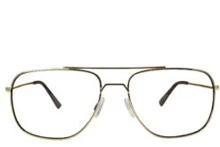Navigator Rx - Gold Tortoise