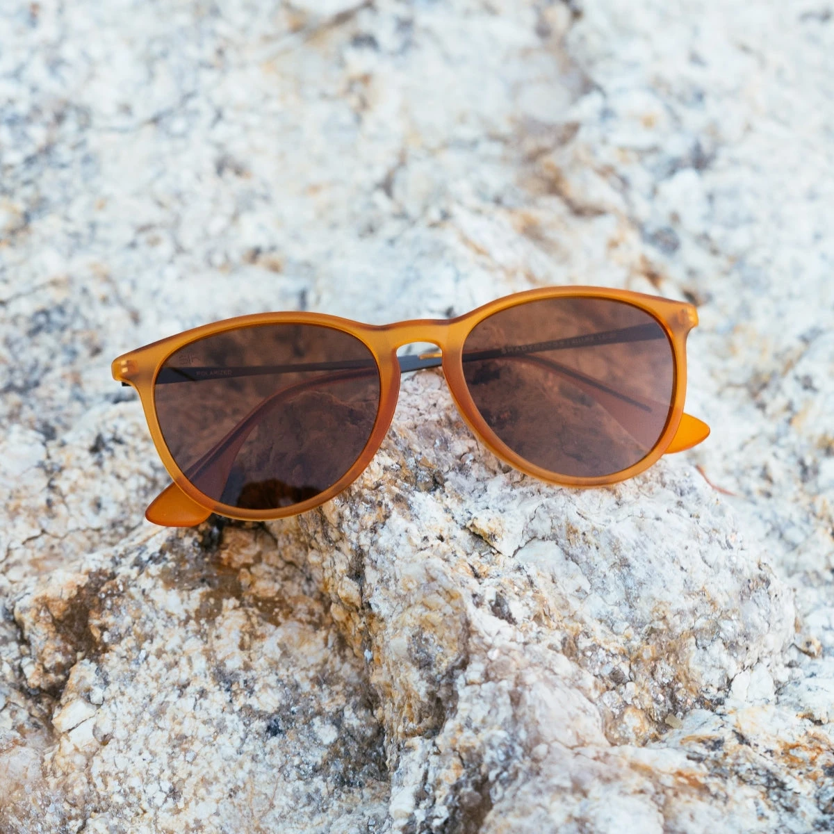 Allure - Marigold Polarized 7 Allure - Marigold Polarized - Image 5