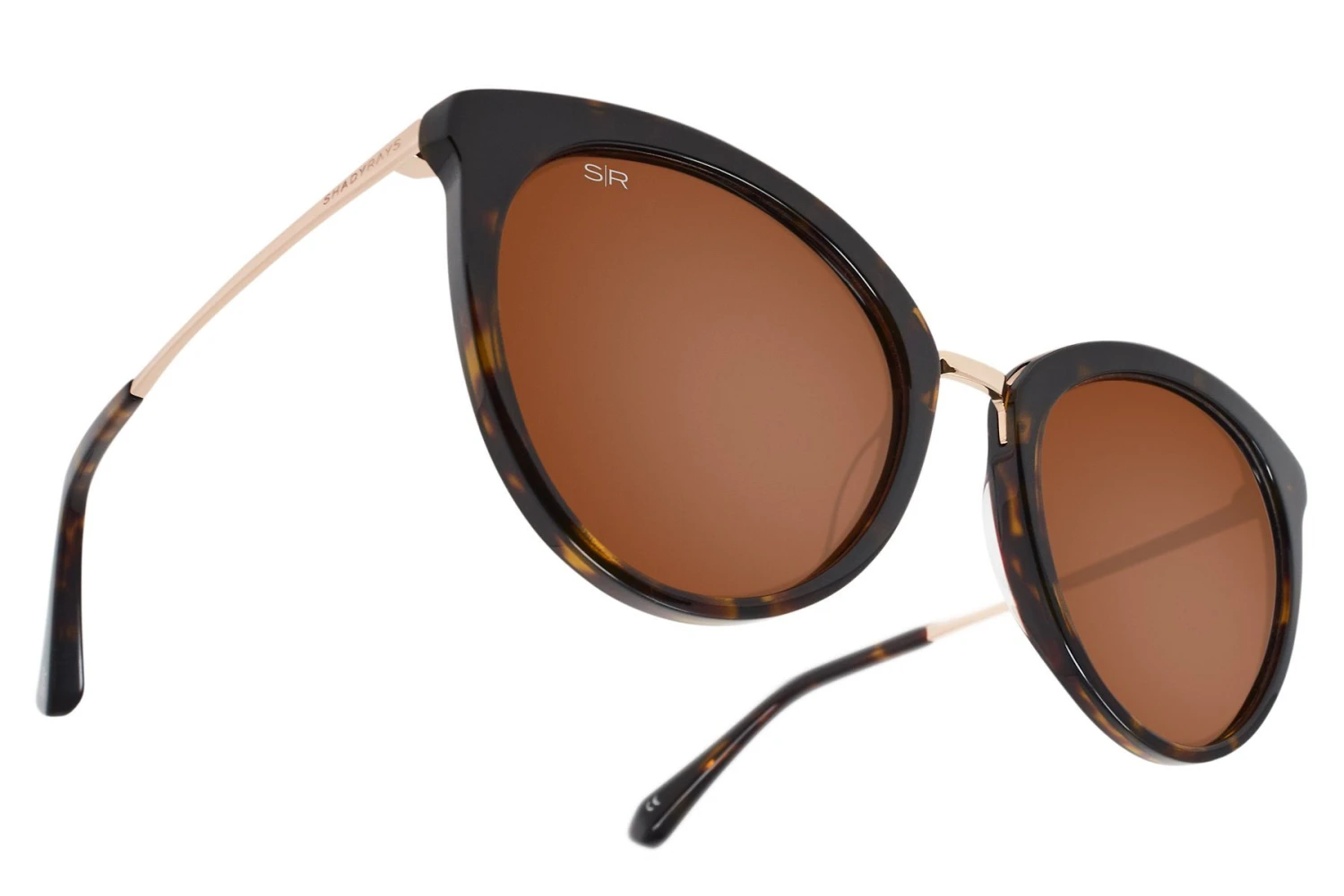 Lotus - Sable Tortoise Polarized 4 Lotus - Sable Tortoise Polarized - Image 2